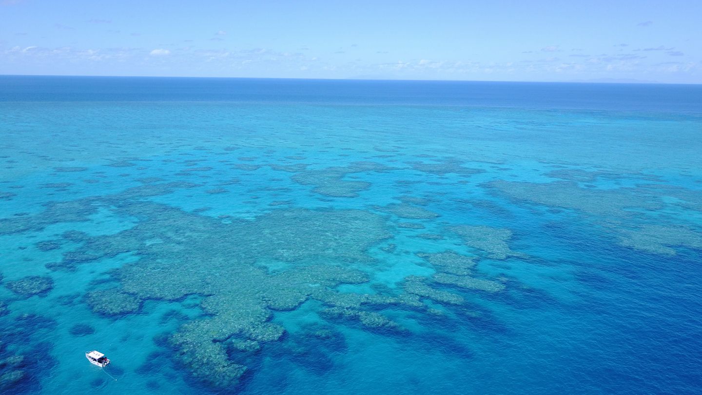 great barrier reef tour magnetic island