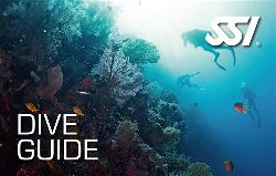 472573_Dive Guide (Small)-opt