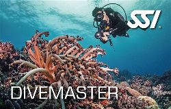 472574_Divemaster (Small)-opt