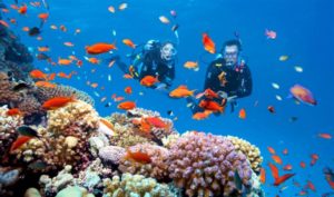 Great Barrier Reef