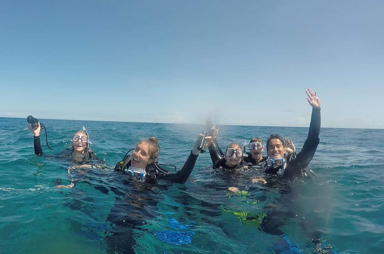 Pro Dive Magnetic Island - open water course, learn to dive, scuba