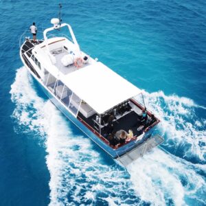 Trips Pro Dive Magnetic Island